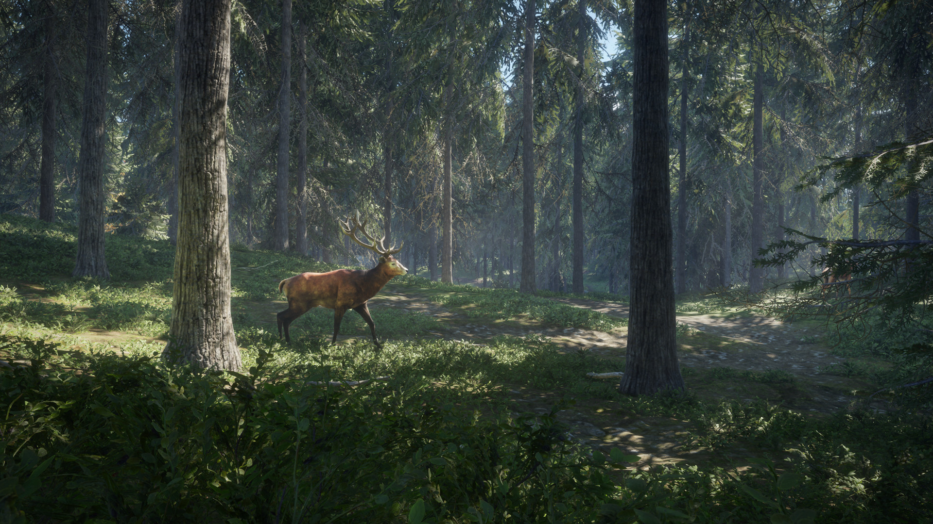 Скриншот 17: theHunter: Call of the Wild™