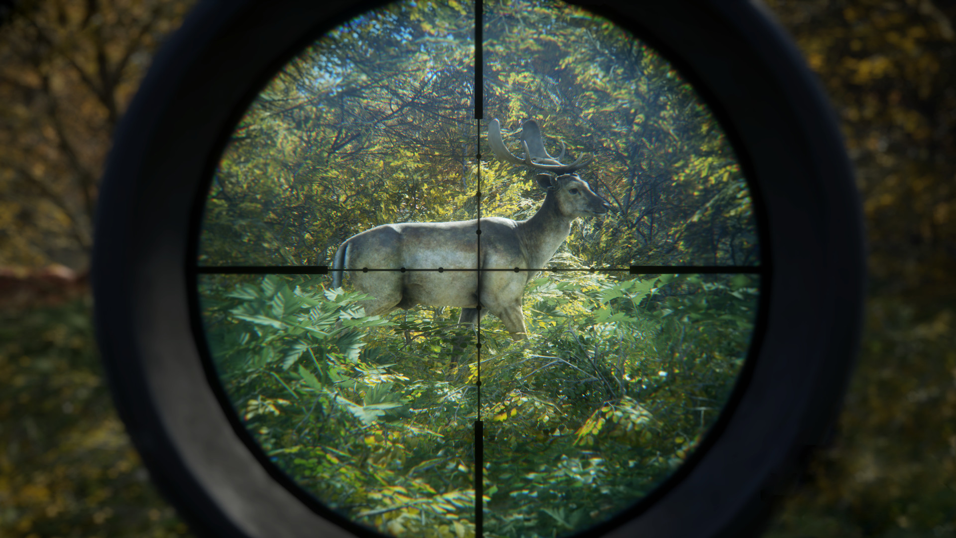Скриншот: theHunter: Call of the Wild™