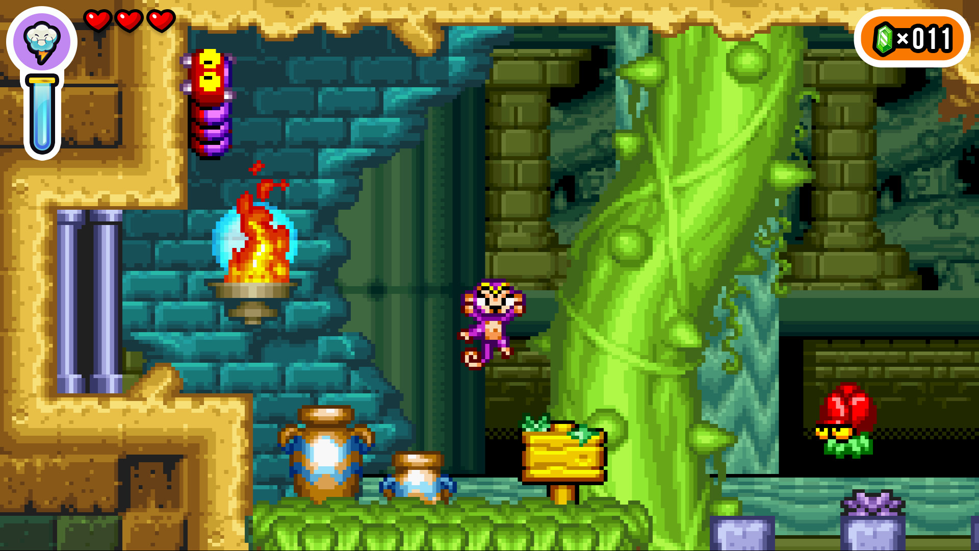 Скриншот: Shantae Advance: Risky Revolution