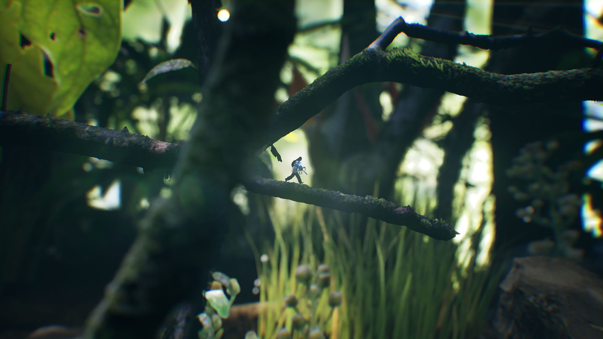 Скриншот 6: Big Earth