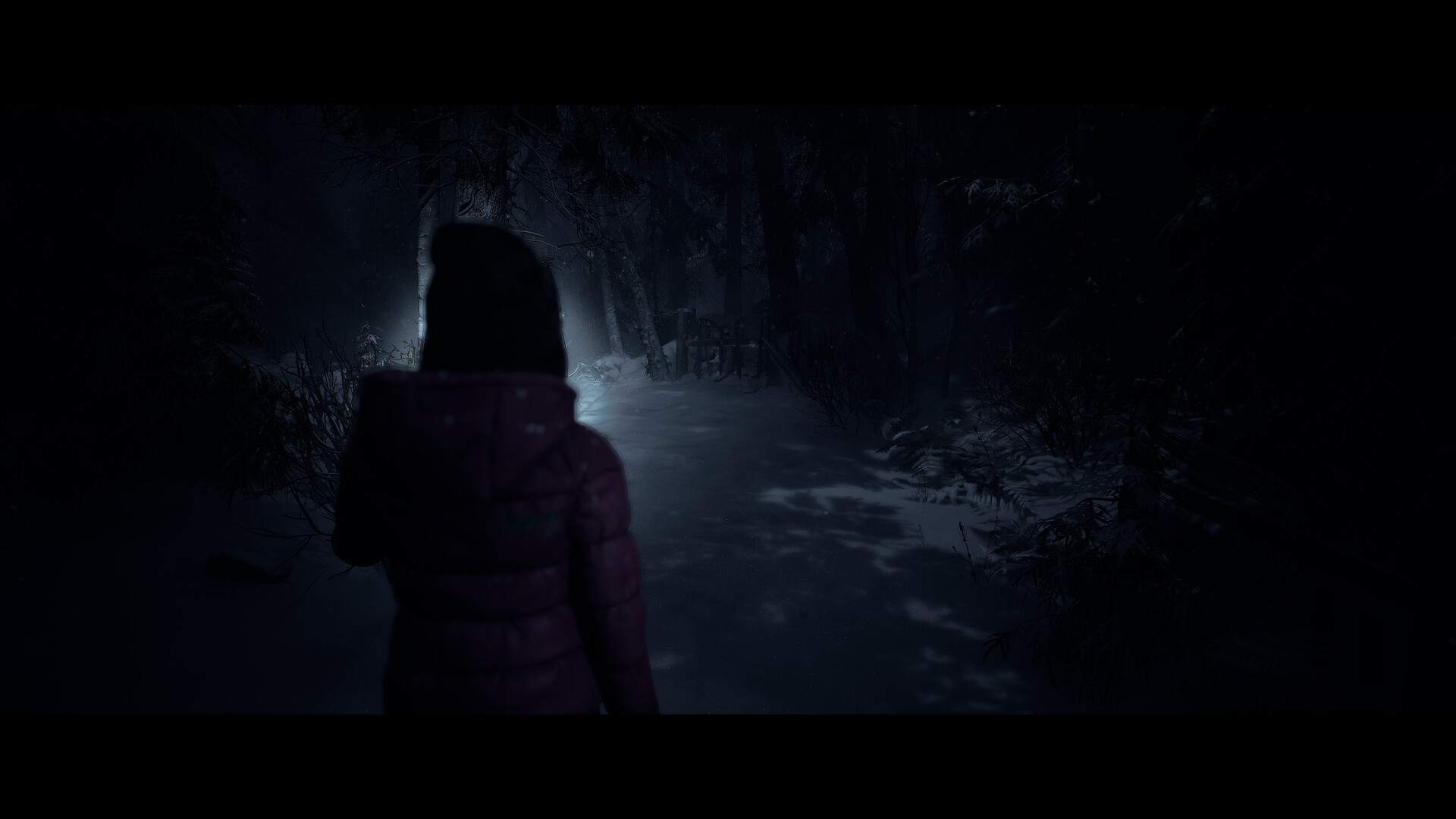 Скриншот 11: Until Dawn™