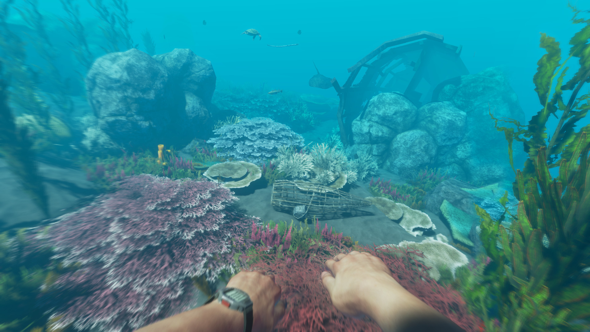 Скриншот: Stranded Deep