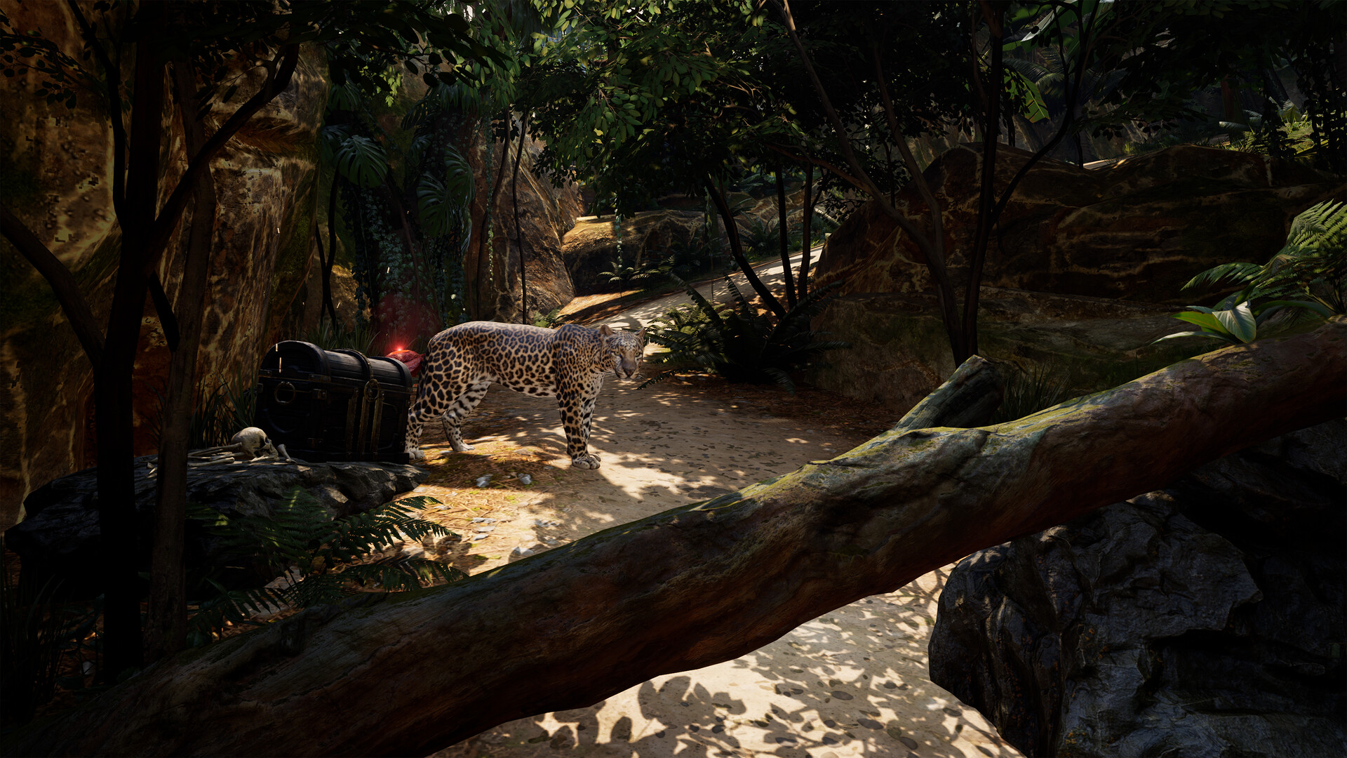 Скриншот 6: Pirates VR: Jolly Roger