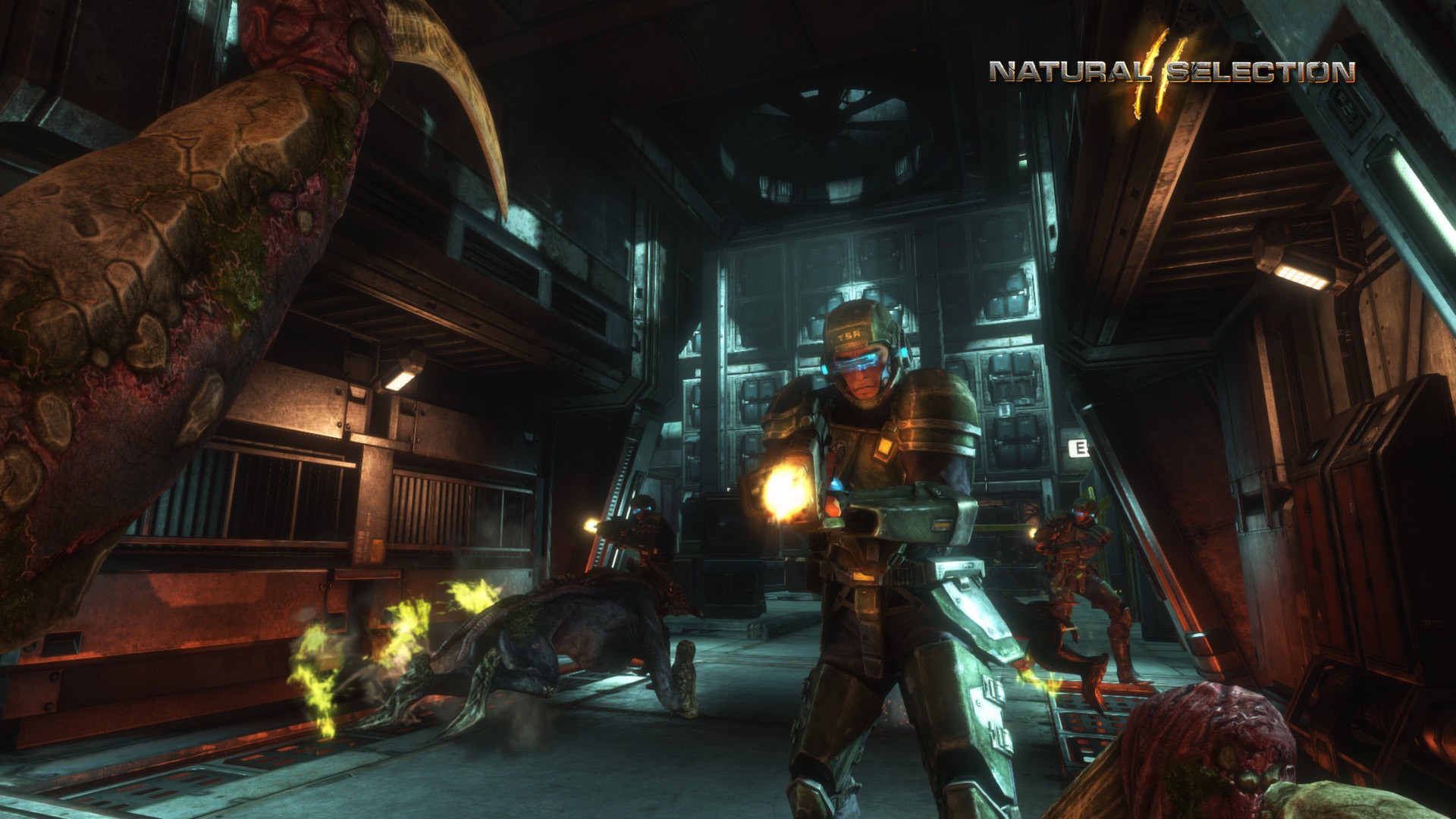 Скриншот 10: Natural Selection 2