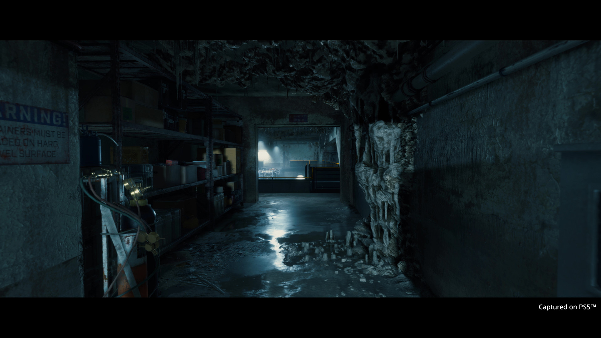 Скриншот 17: DEATH STRANDING DIRECTOR'S CUT