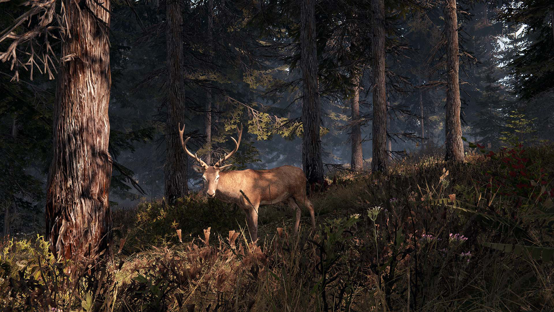 Скриншот 8: This Land Is My Land