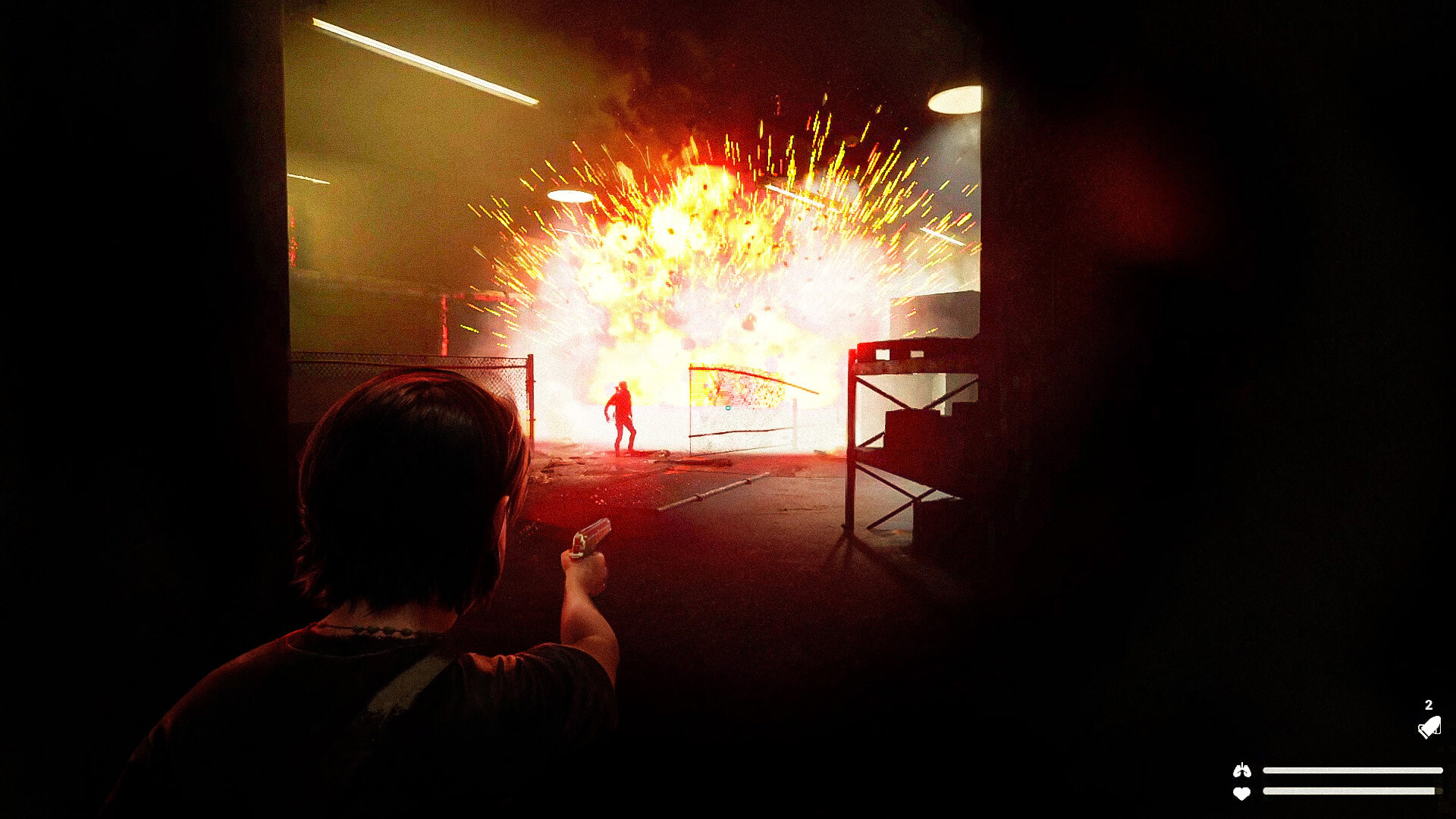 Скриншот: Sofie: The Echoes™