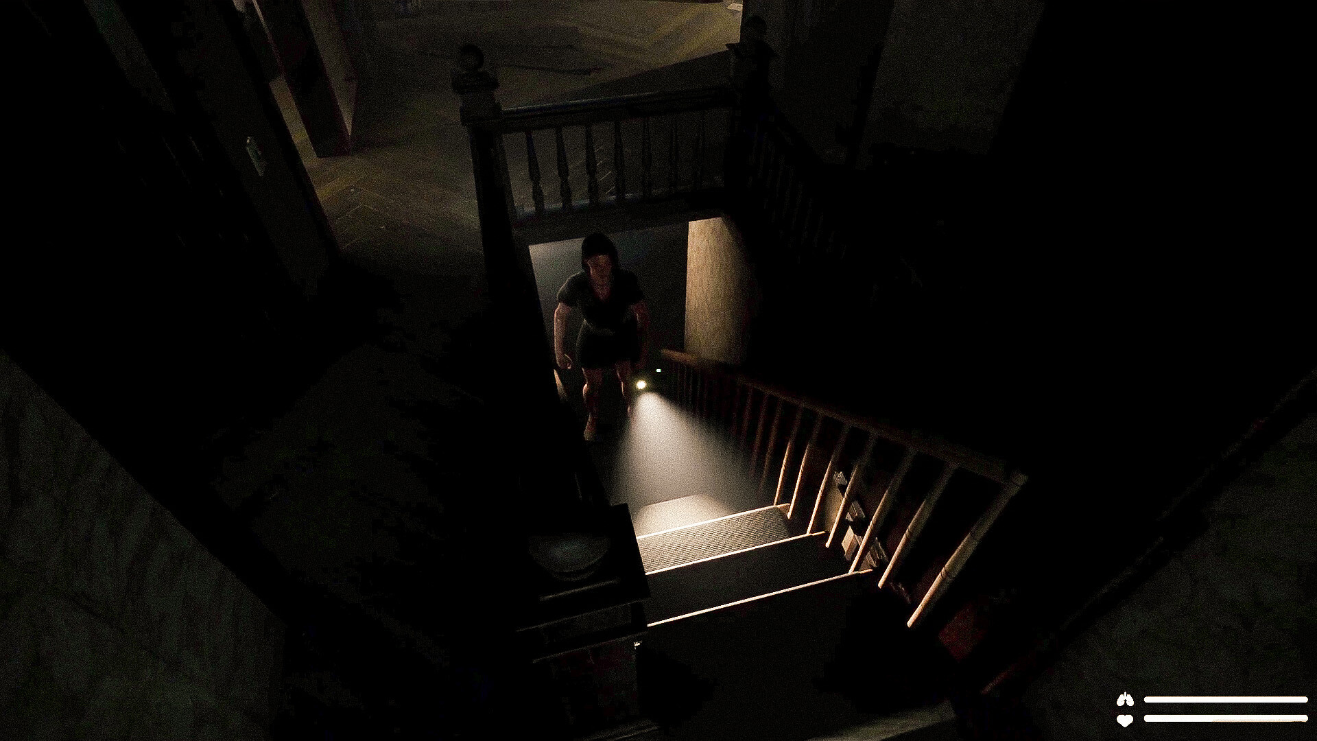 Скриншот: Sofie: The Echoes™