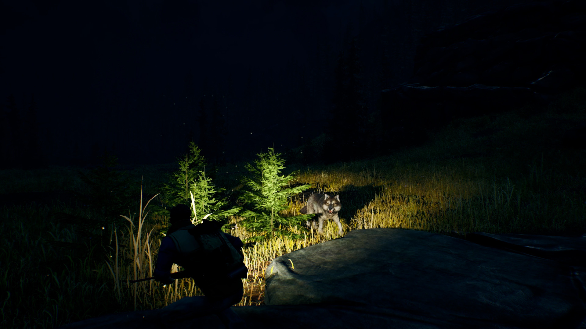 Скриншот: Open Country