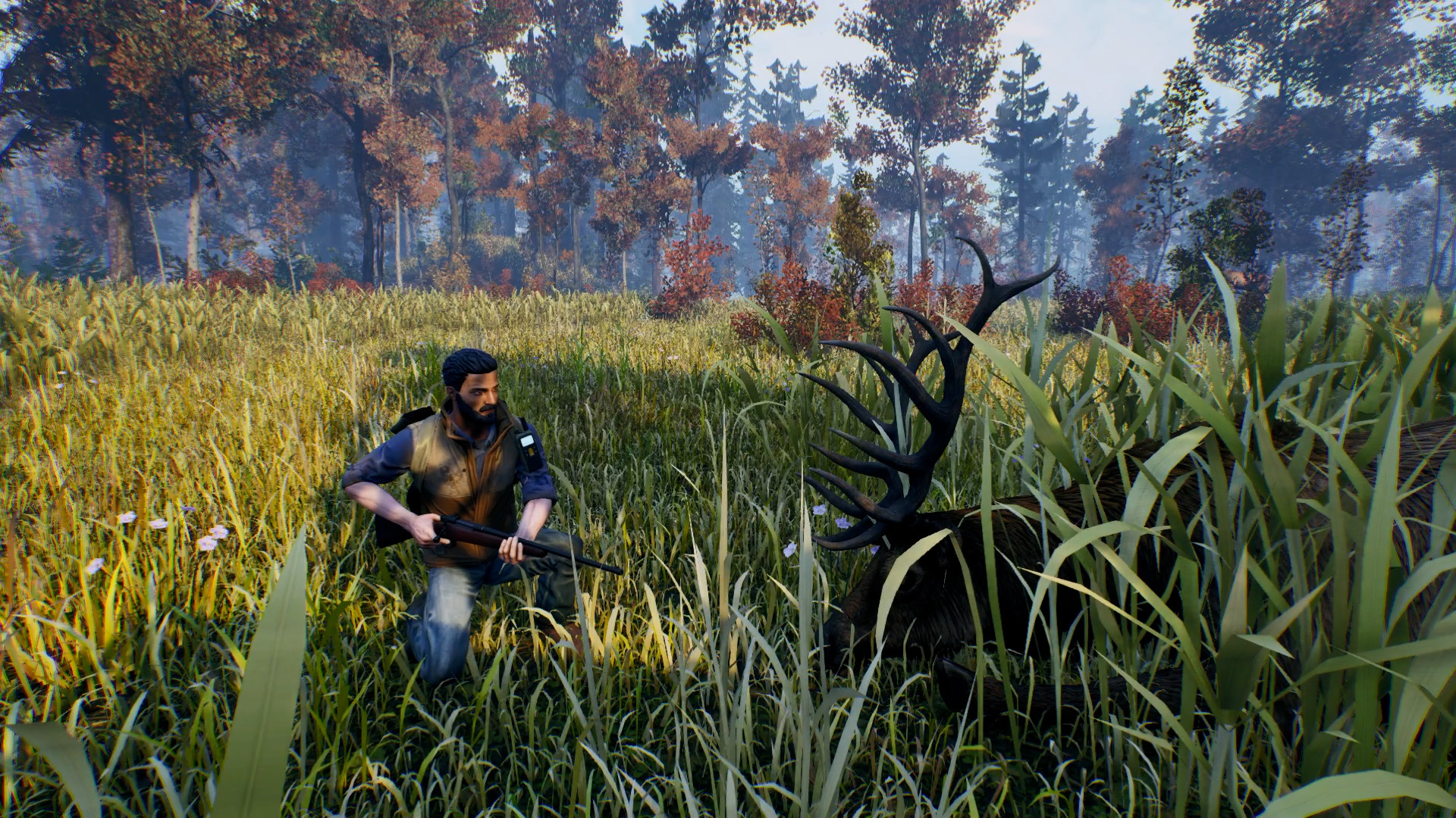 Скриншот: Open Country