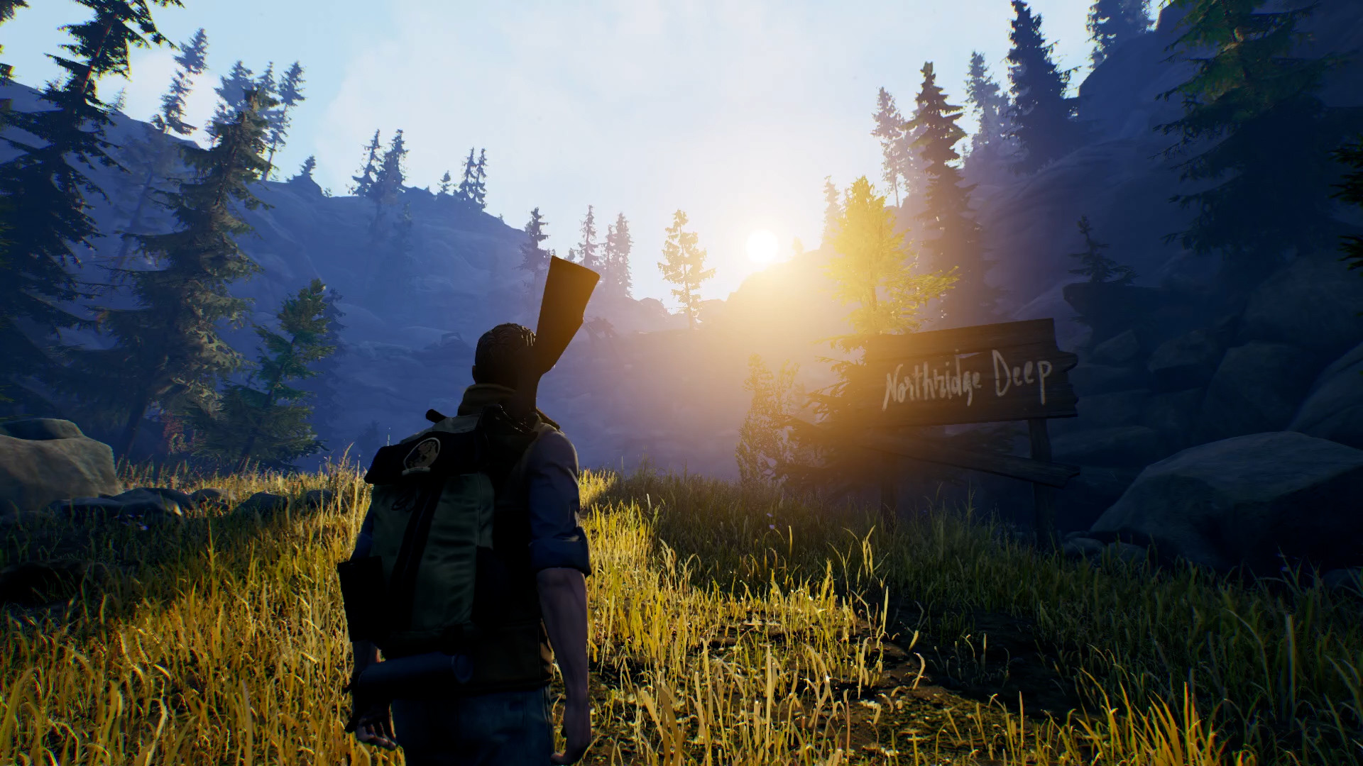 Скриншот: Open Country