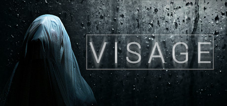 Обложка: Visage