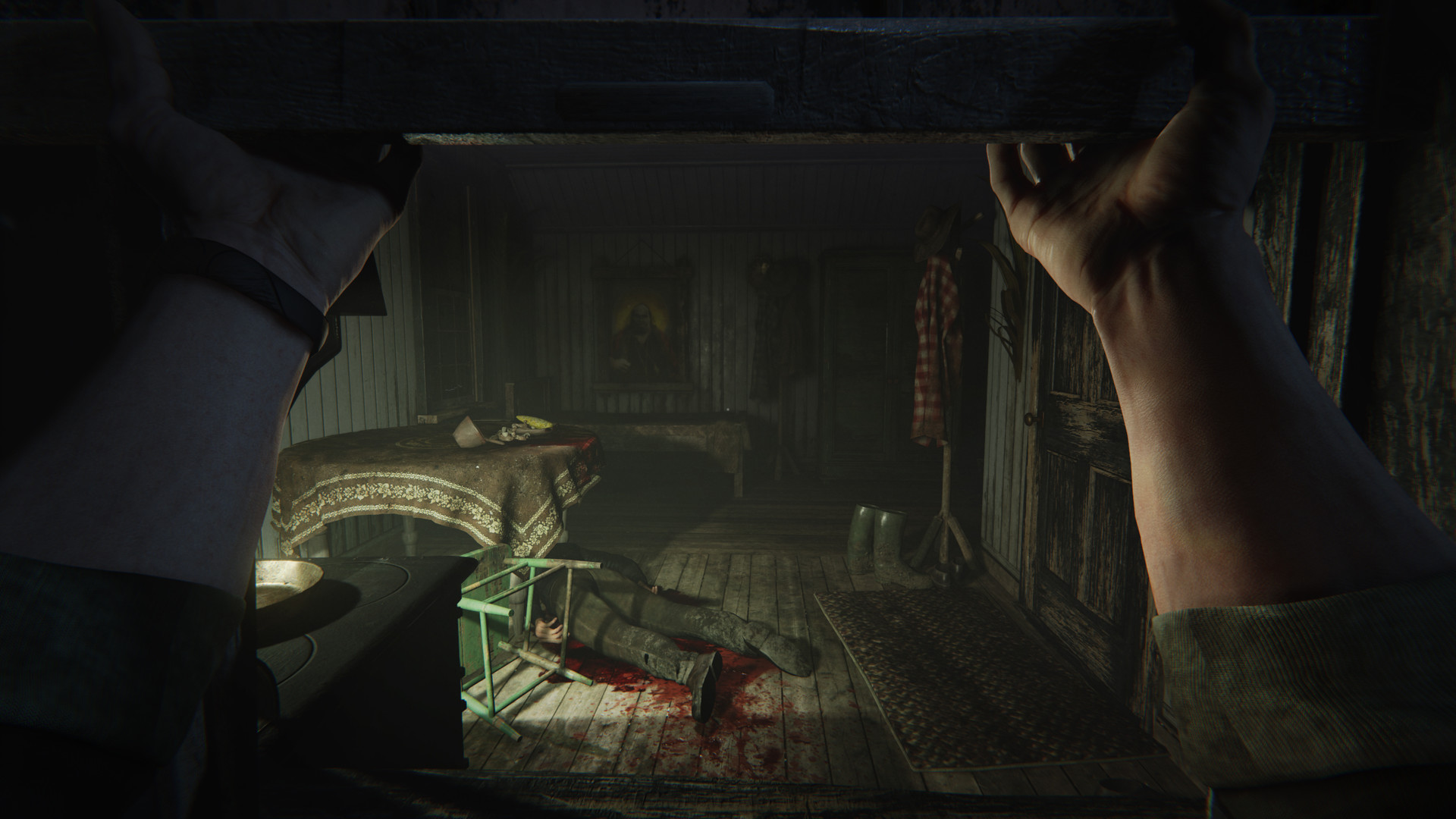 Скриншот: Outlast 2
