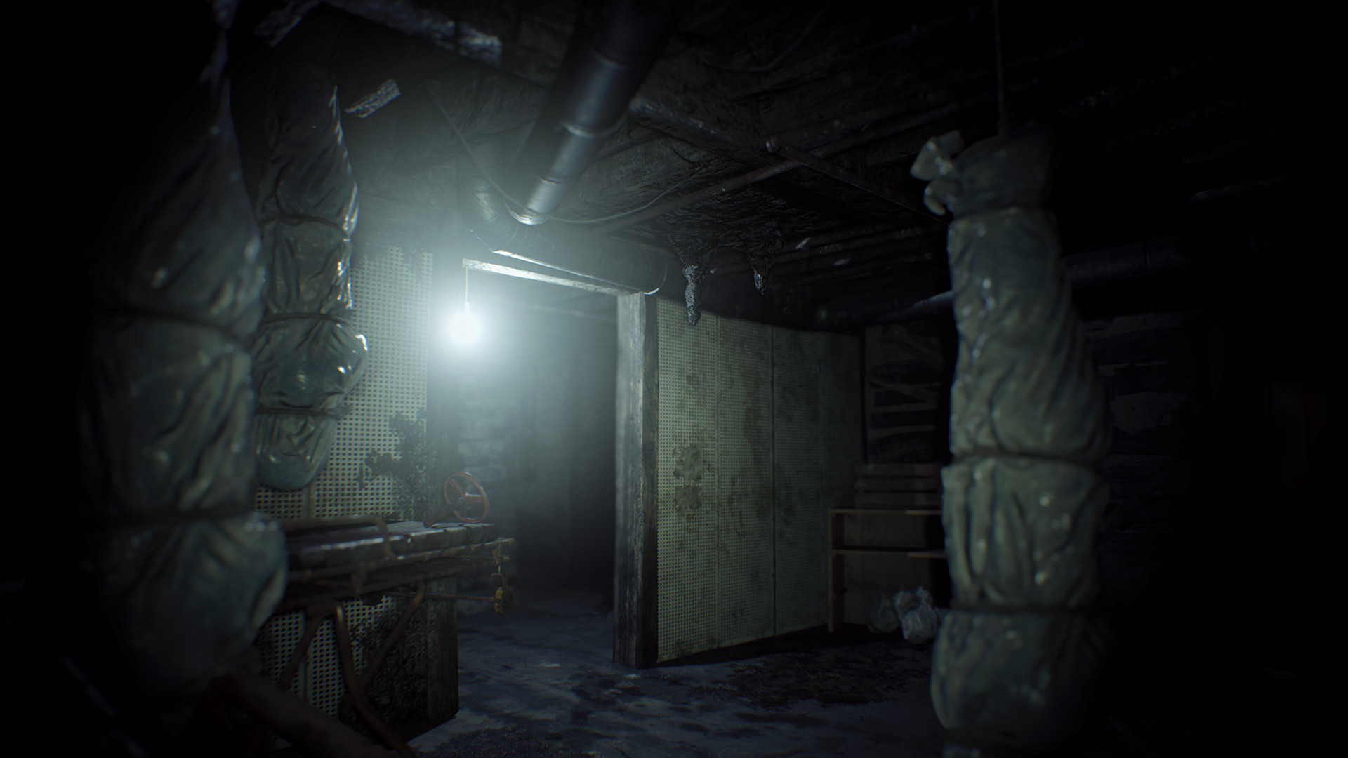 Скриншот 6: Resident Evil 7 Teaser: Beginning Hour