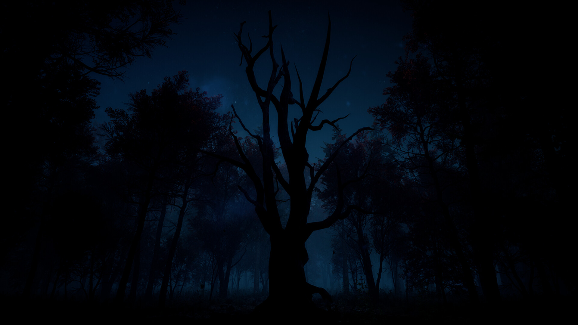 Скриншот 8: Slender: The Arrival