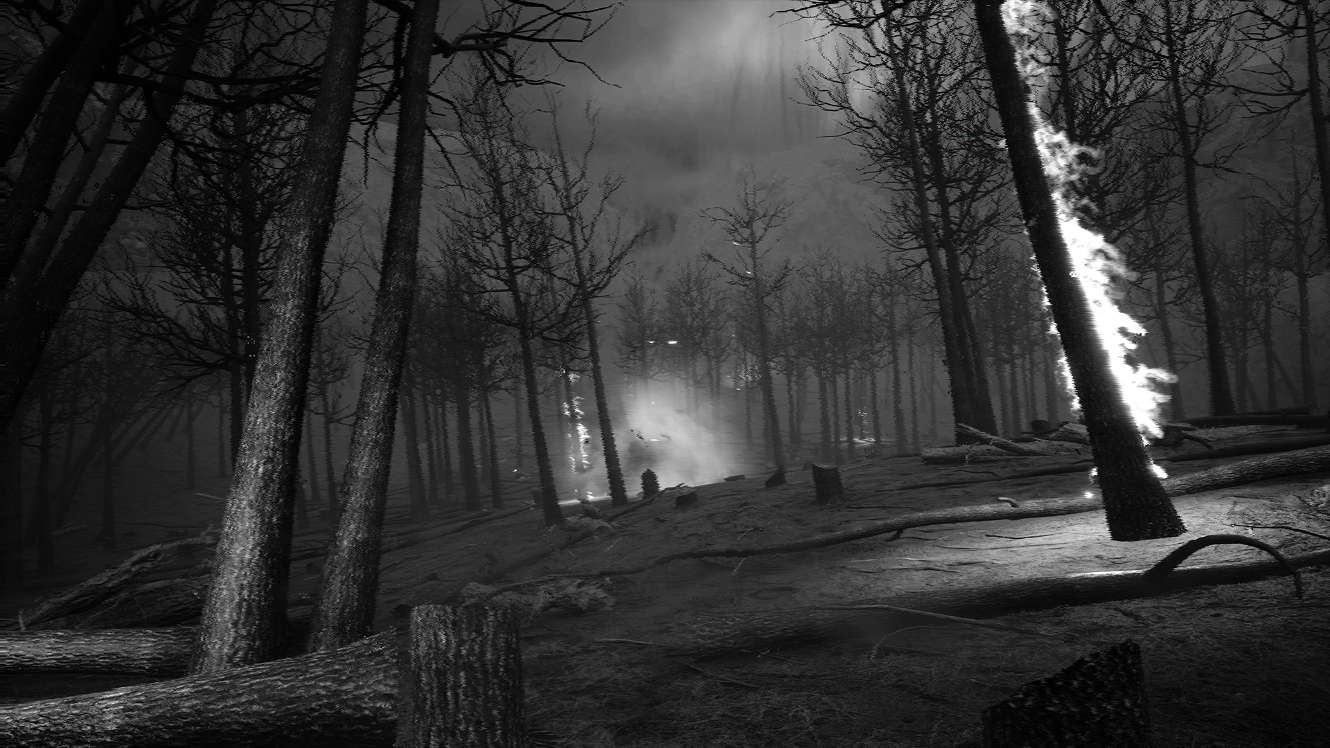 Скриншот 8: What Happened