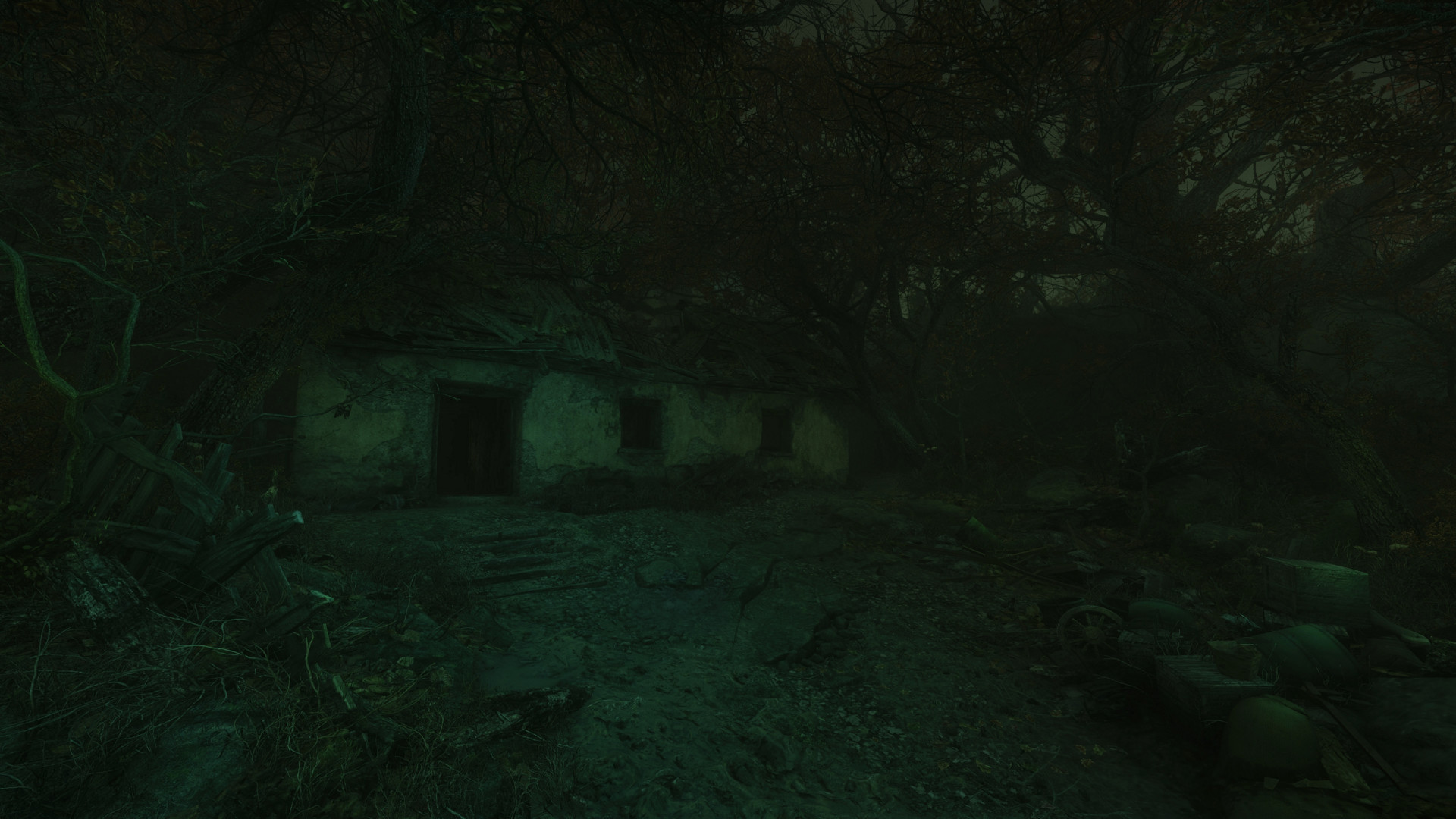 Скриншот 8: The Cursed Forest