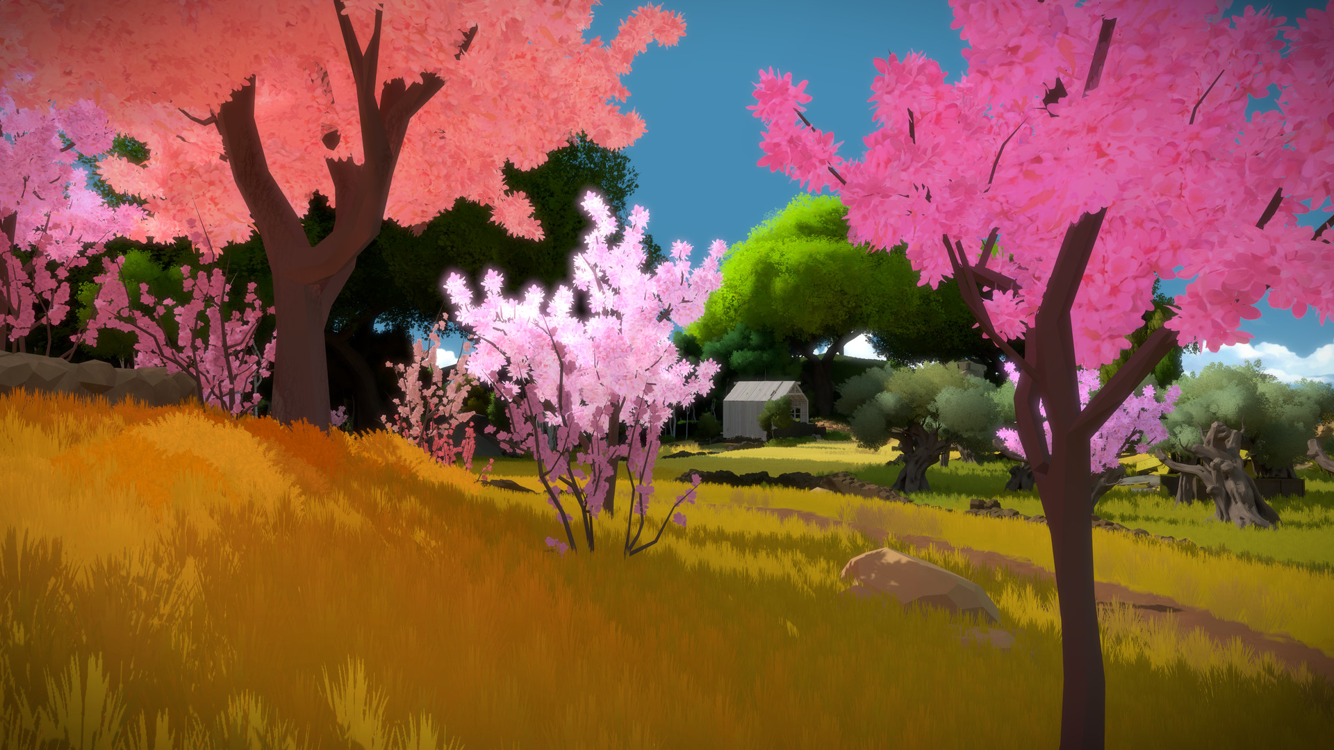 Скриншот: The Witness