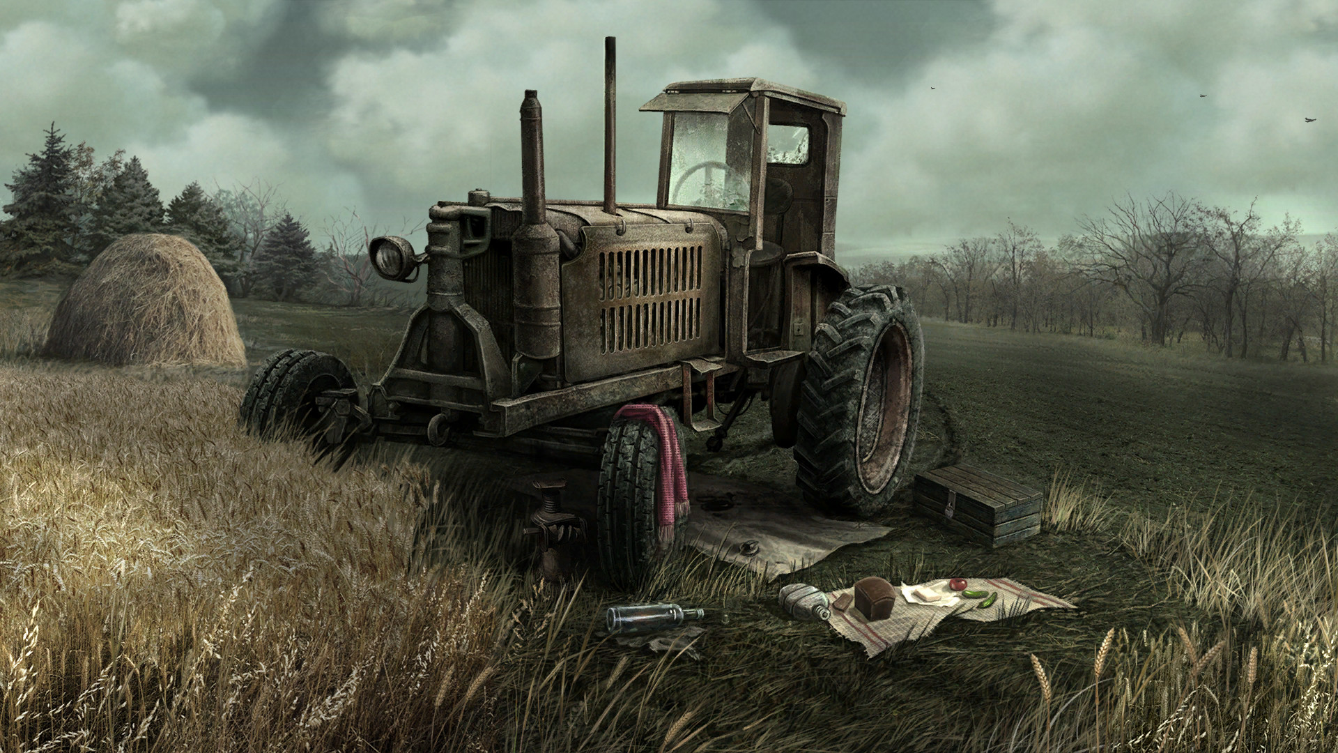 Скриншот: The Wild Case