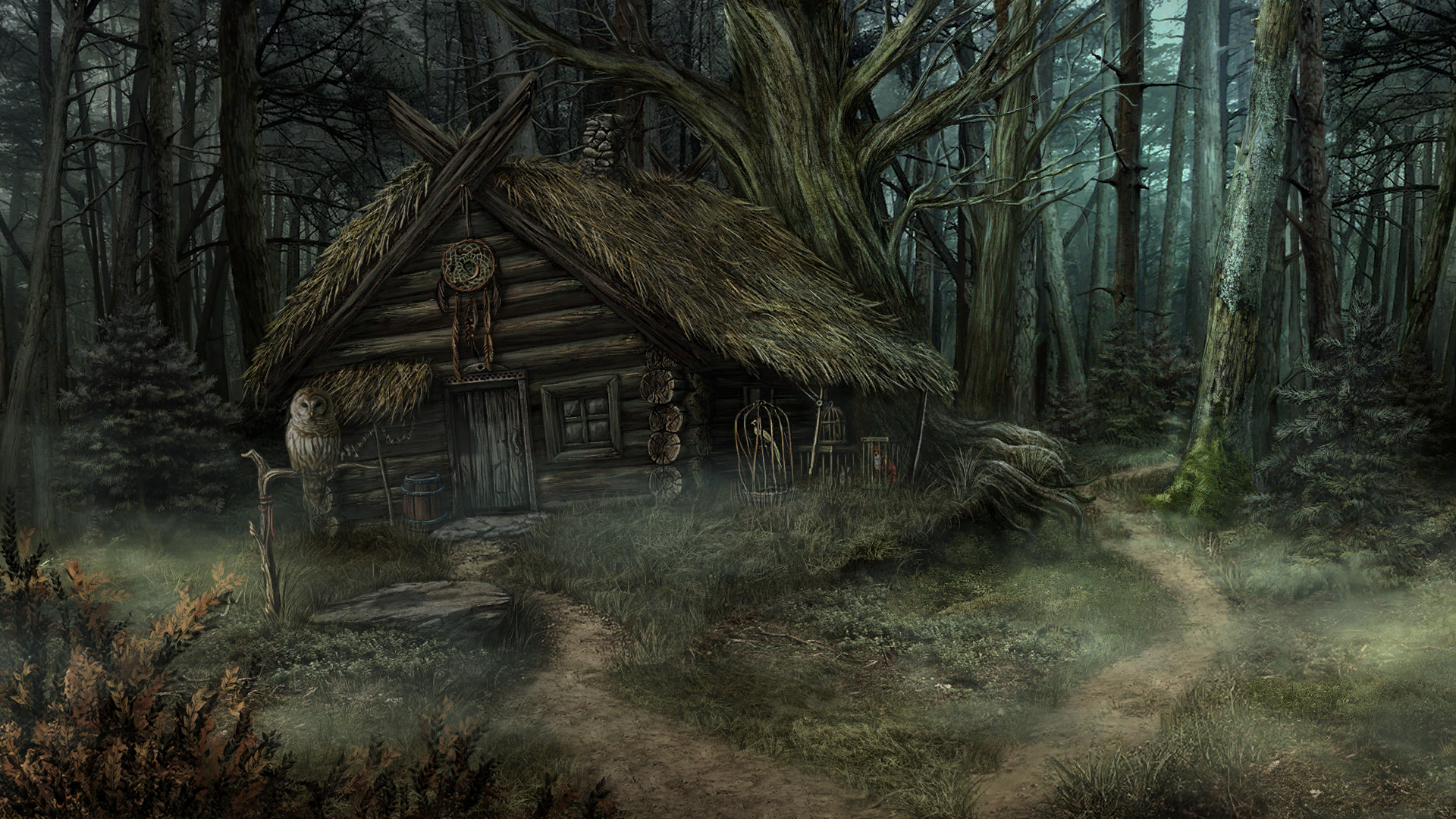 Скриншот: The Wild Case