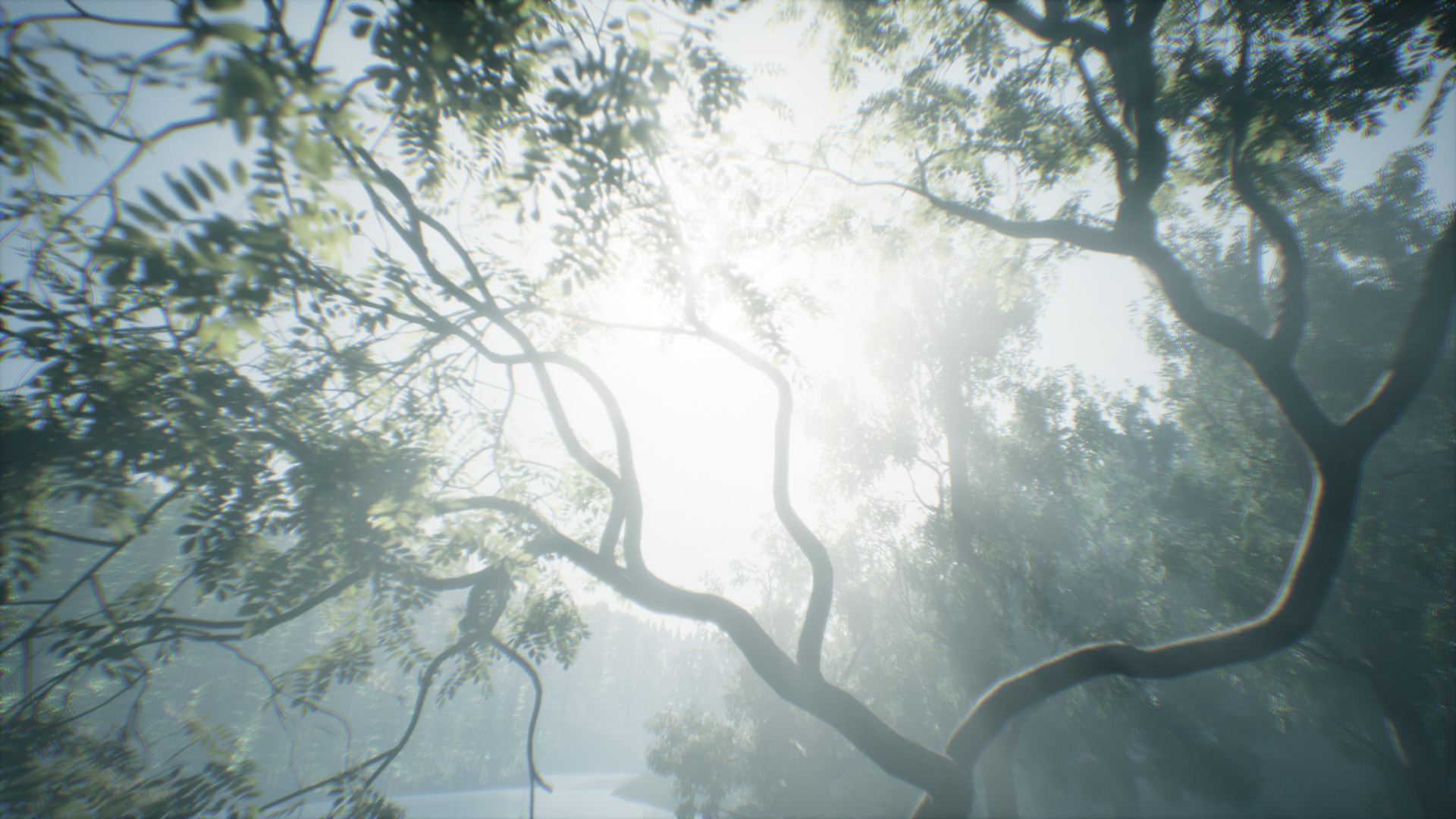 Скриншот 9: Wakamarina Valley, New Zealand