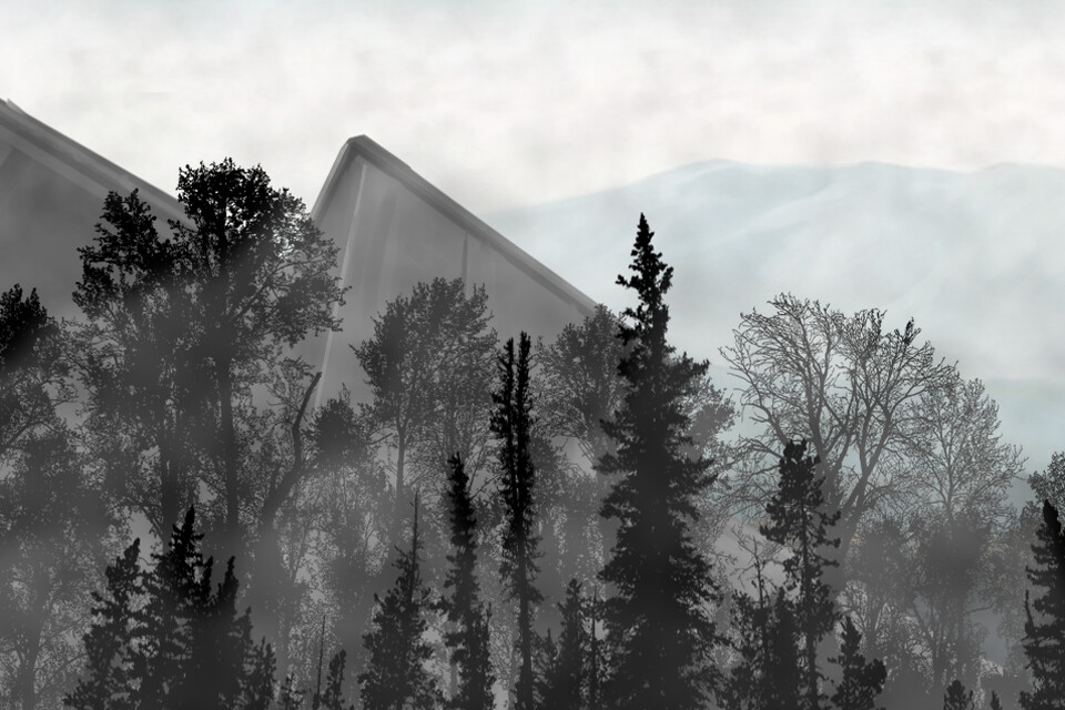 Скриншот: Death of Marionette