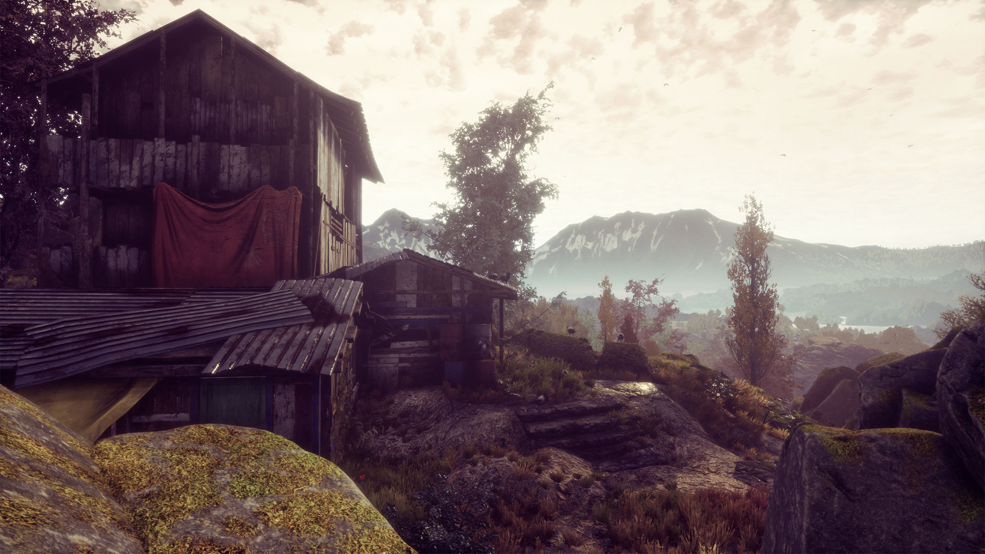 Скриншот: The Dead Tree of Ranchiuna