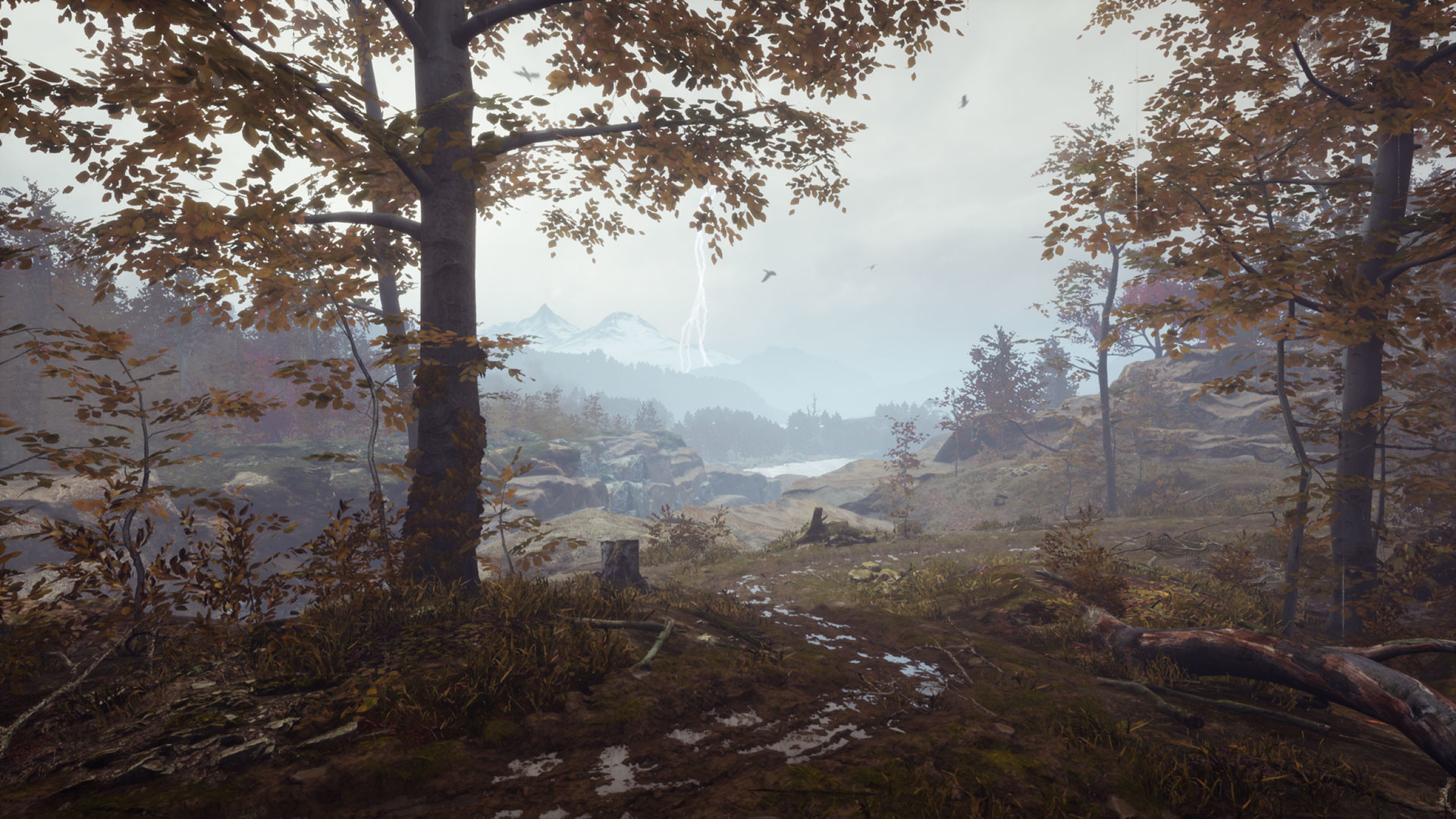 Скриншот: Pluviophile