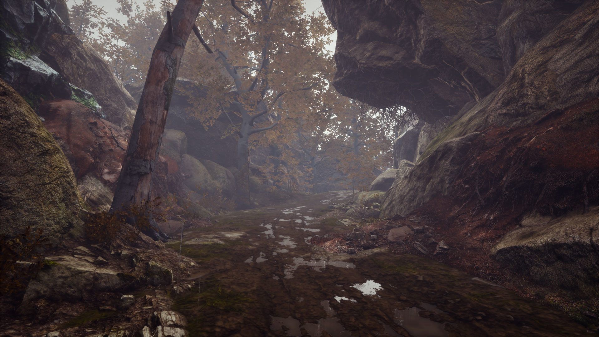 Скриншот: Pluviophile