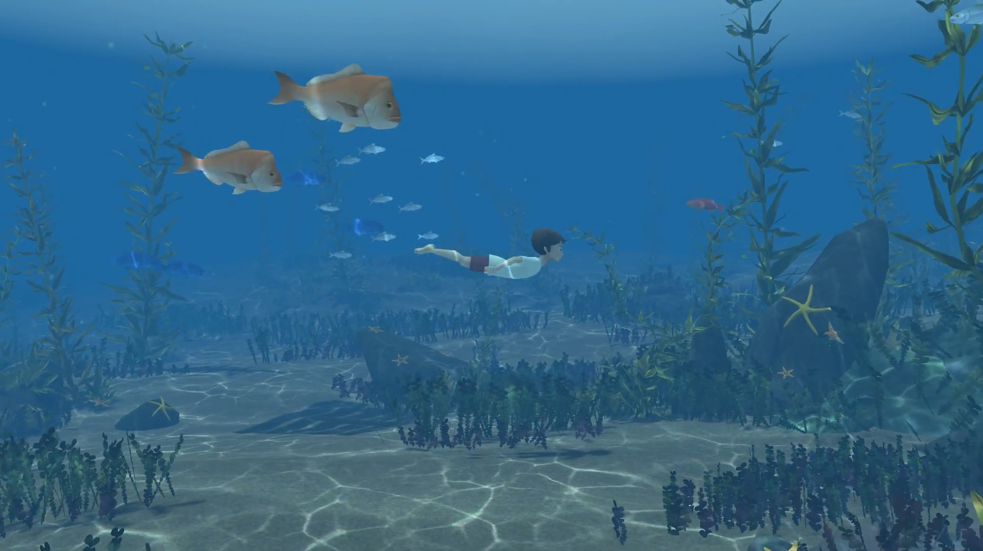 Скриншот: Storm Boy