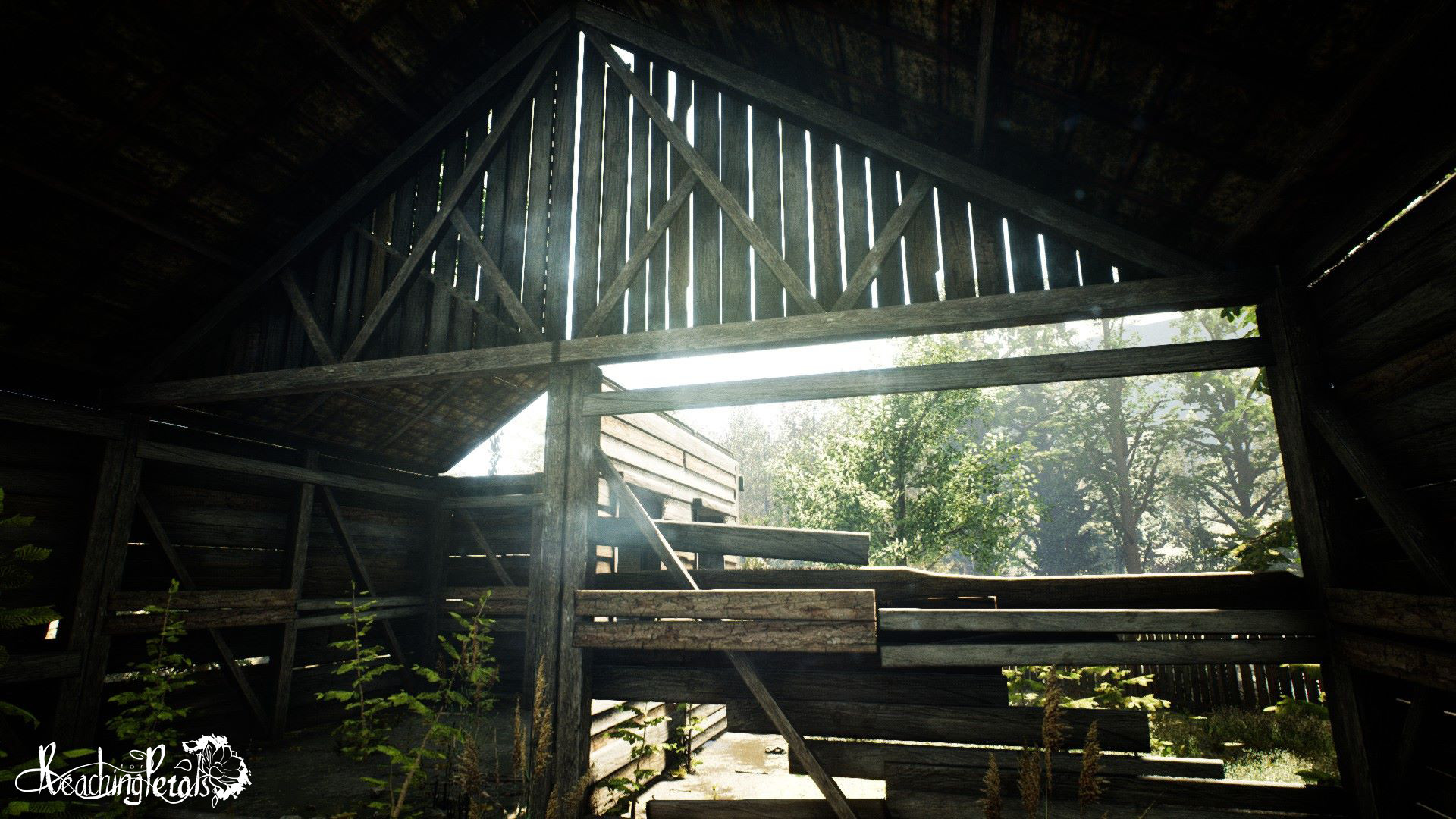 Скриншот: Reaching for Petals