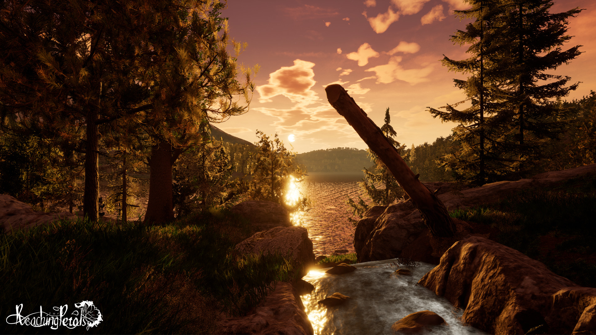 Скриншот: Reaching for Petals