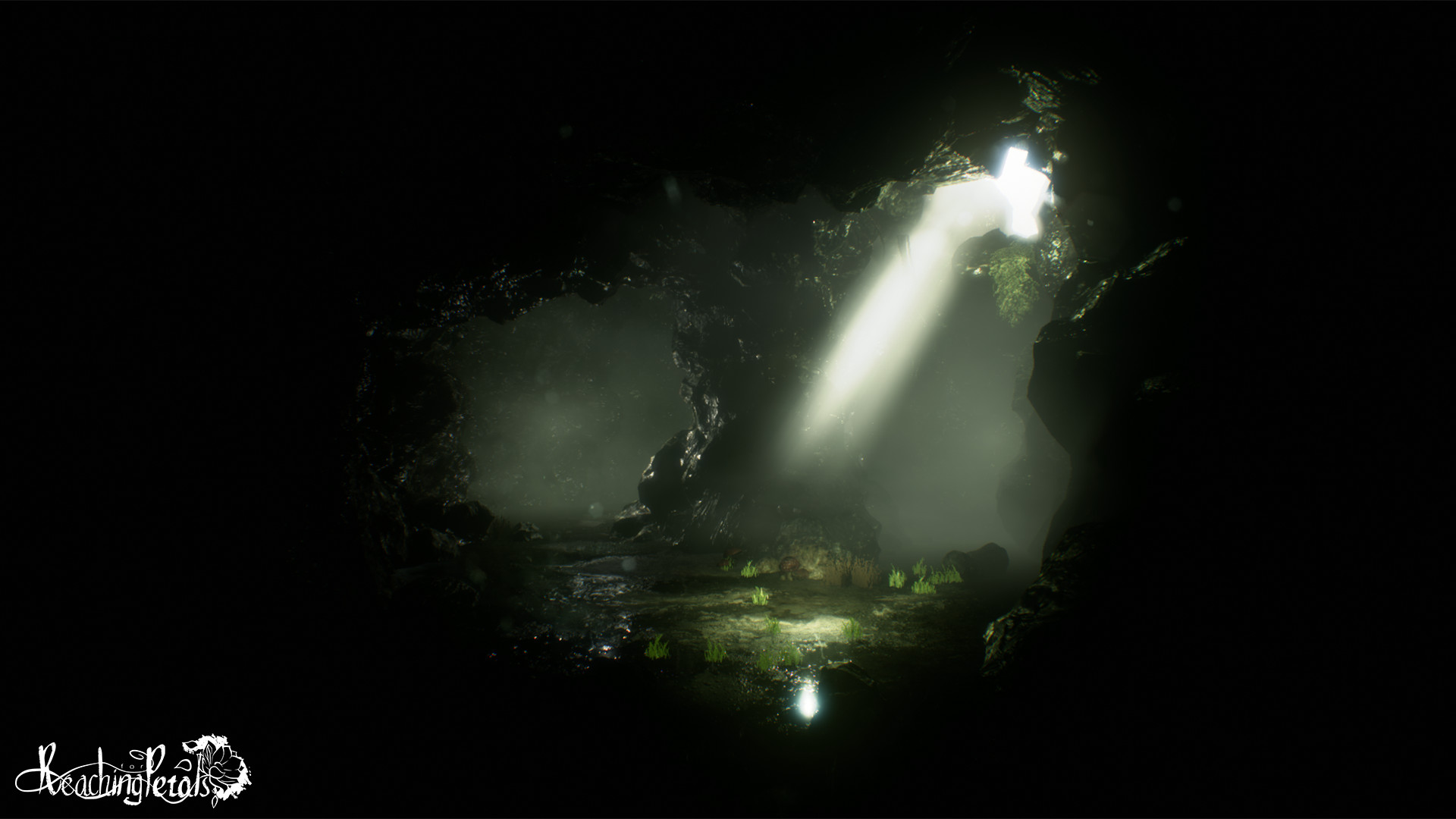 Скриншот: Reaching for Petals