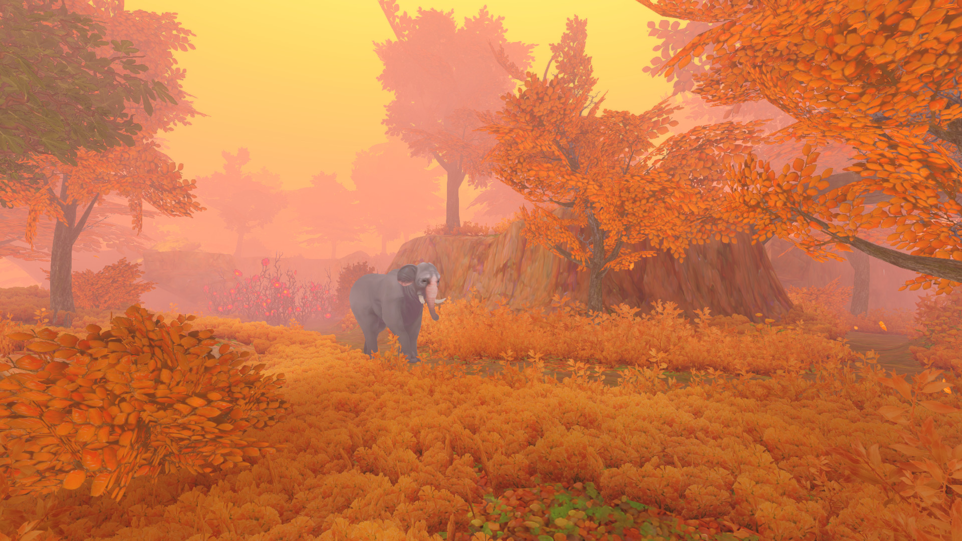 Скриншот: The Wild Eternal