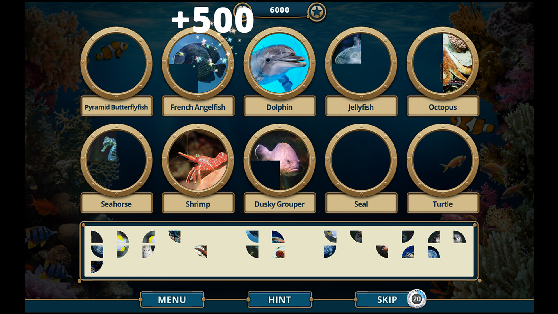 Скриншот: Sea Life Explorer Collector's Edition