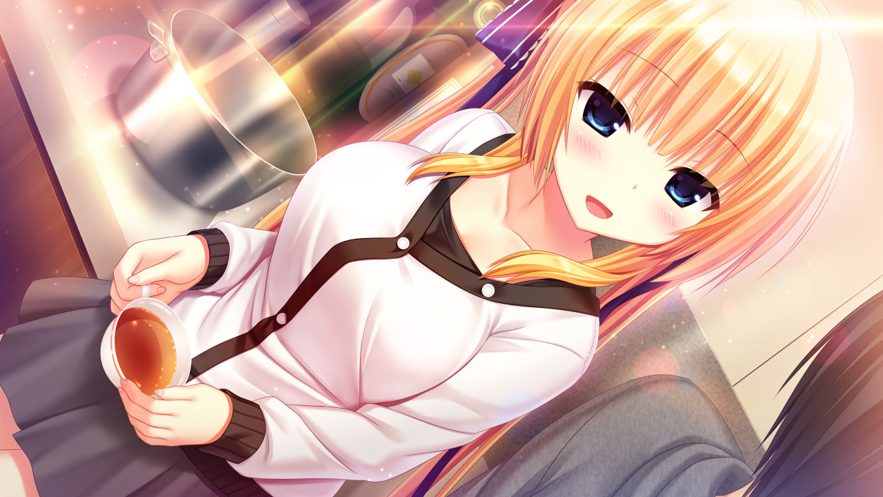 Скриншот: WAGAMAMA HIGH SPEC