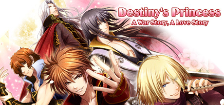 Обложка: Destiny's Princess: A War Story, A Love Story