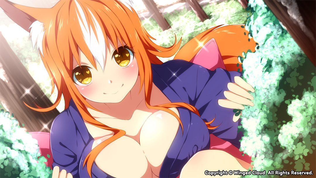 Скриншот: Sakura Santa