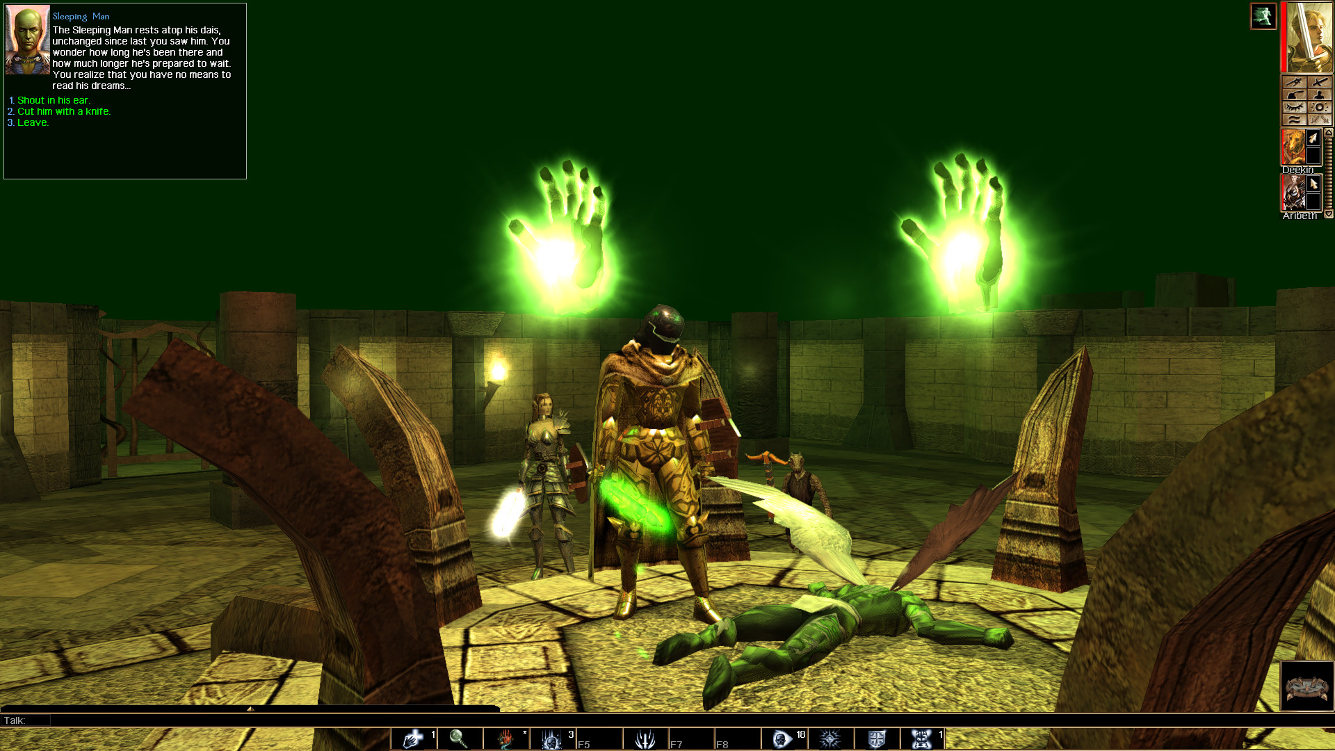 Скриншот: Neverwinter Nights: Enhanced Edition