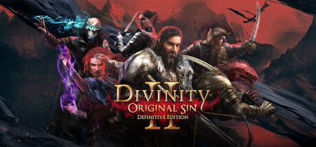 Обложка: Divinity: Original Sin 2 - Definitive Edition