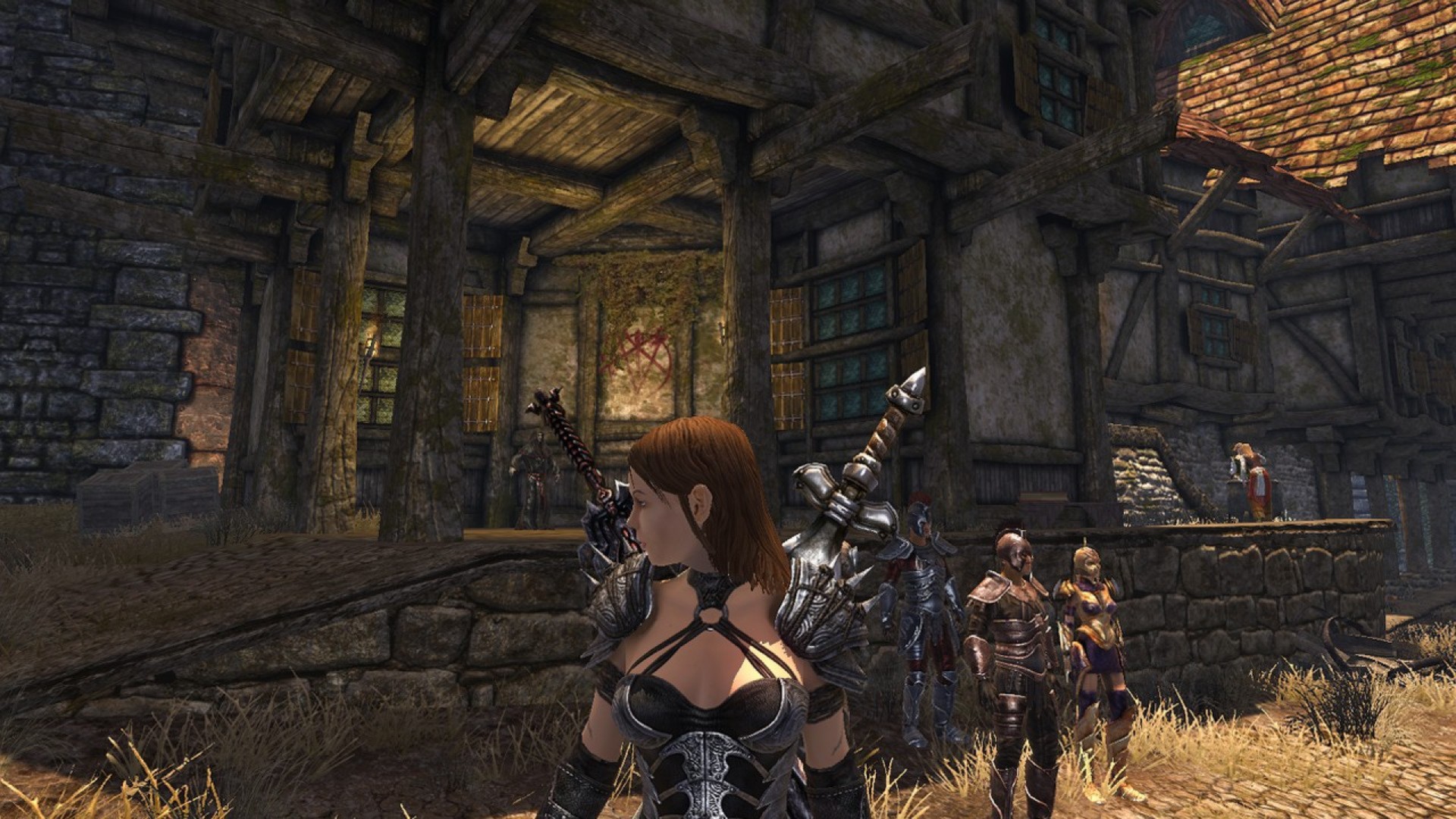 Скриншот 15: Divinity II: Developer's Cut