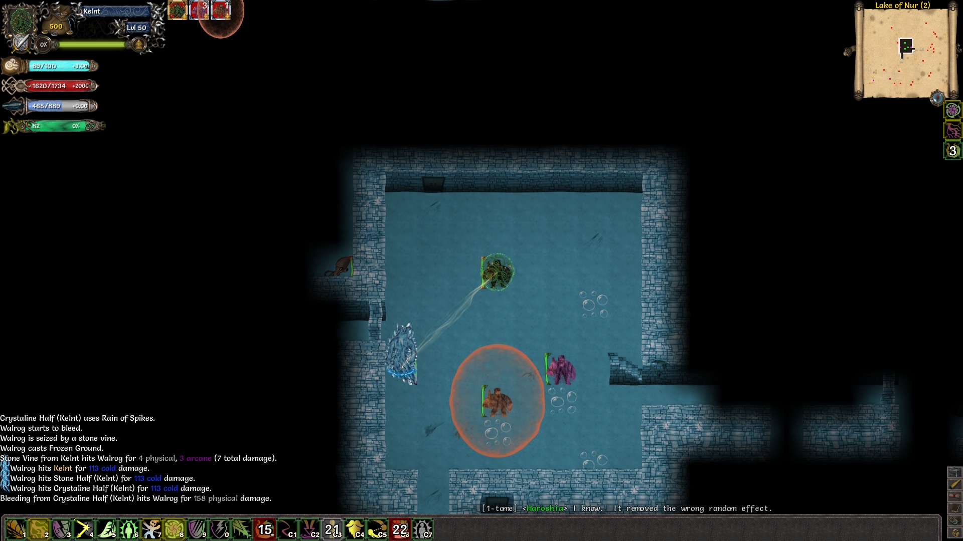 Скриншот 19: Tales of Maj'Eyal