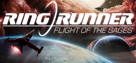 Обложка: Ring Runner: Flight of the Sages