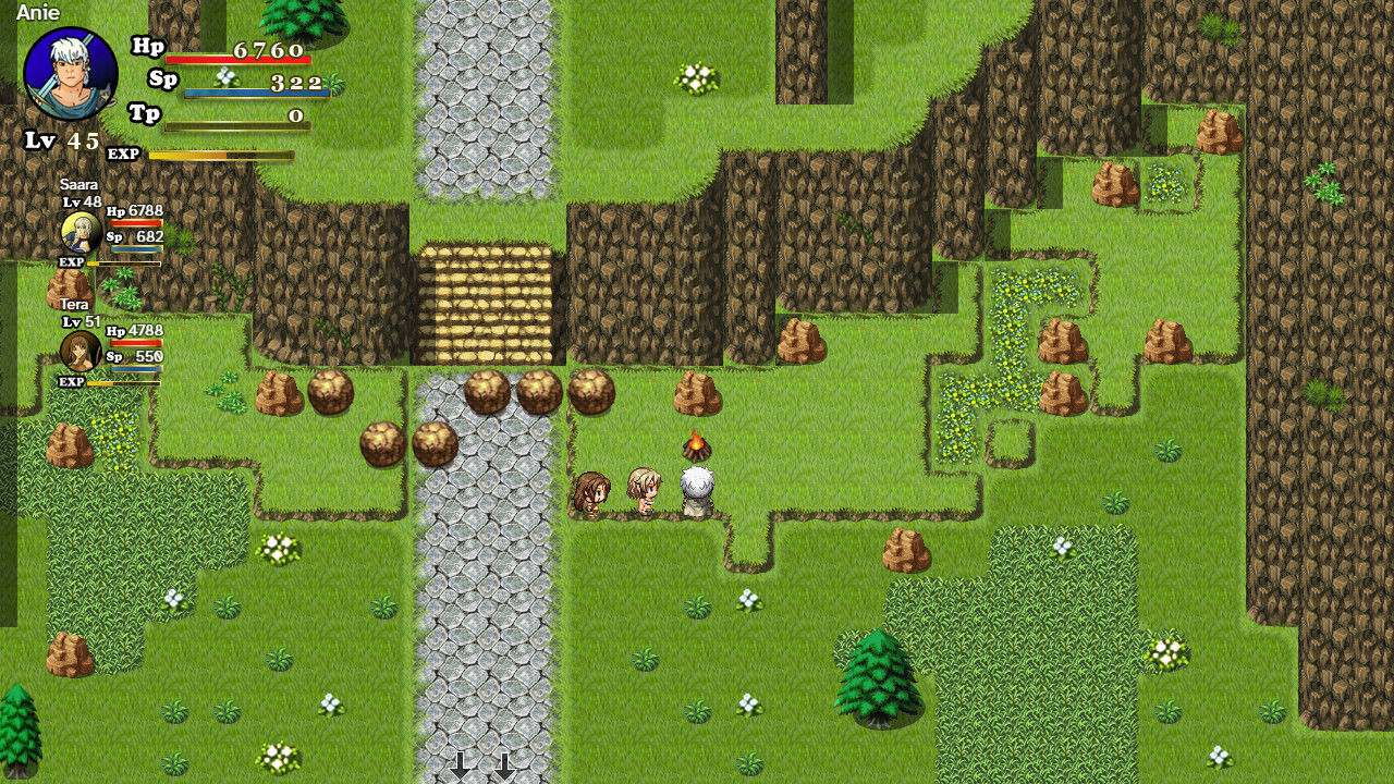 Скриншот: Spriters, Hopes Blooming Dawn