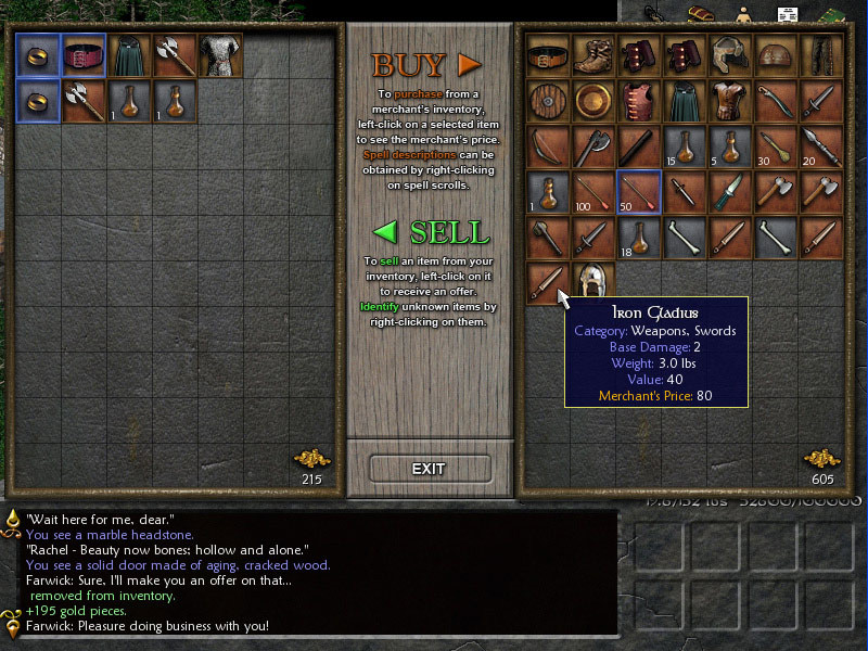 Скриншот 10: Eschalon: Book I