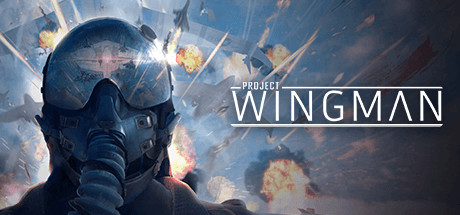 Обложка: Project Wingman