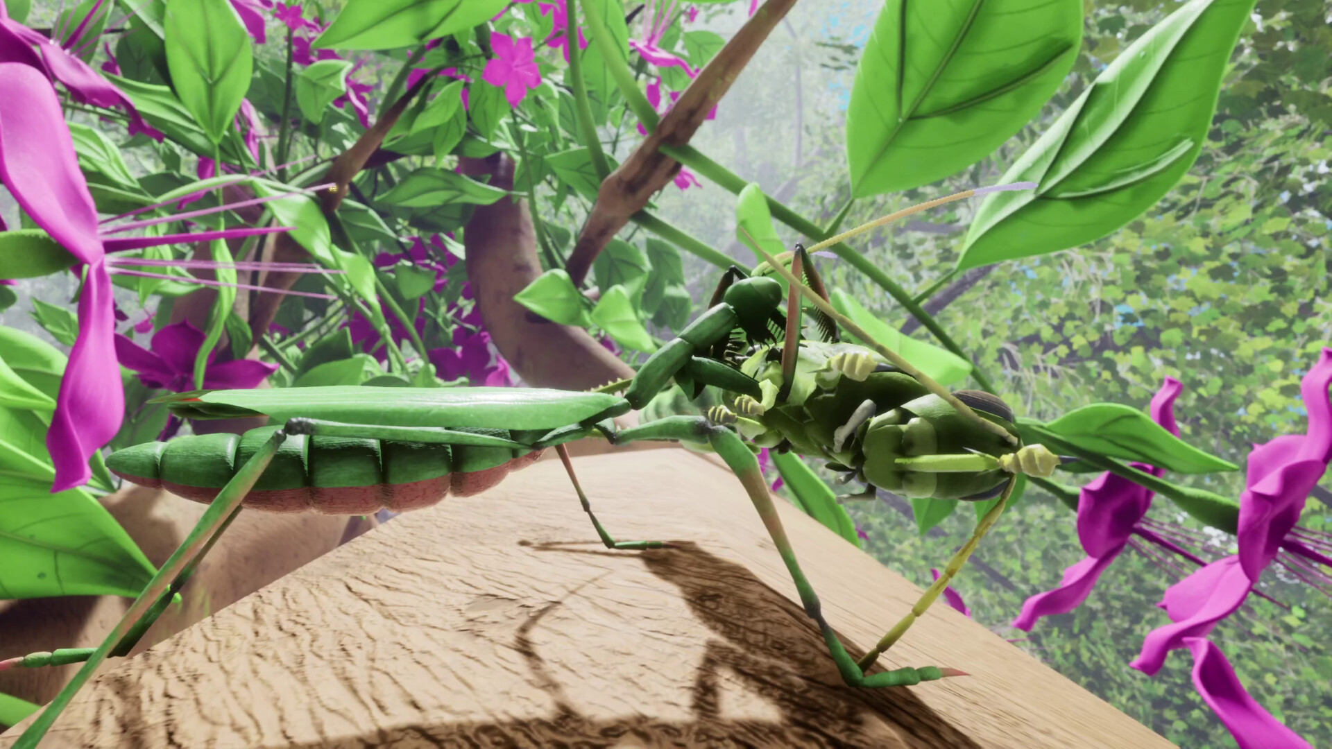 Скриншот: Nature And Life - Drunk On Nectar