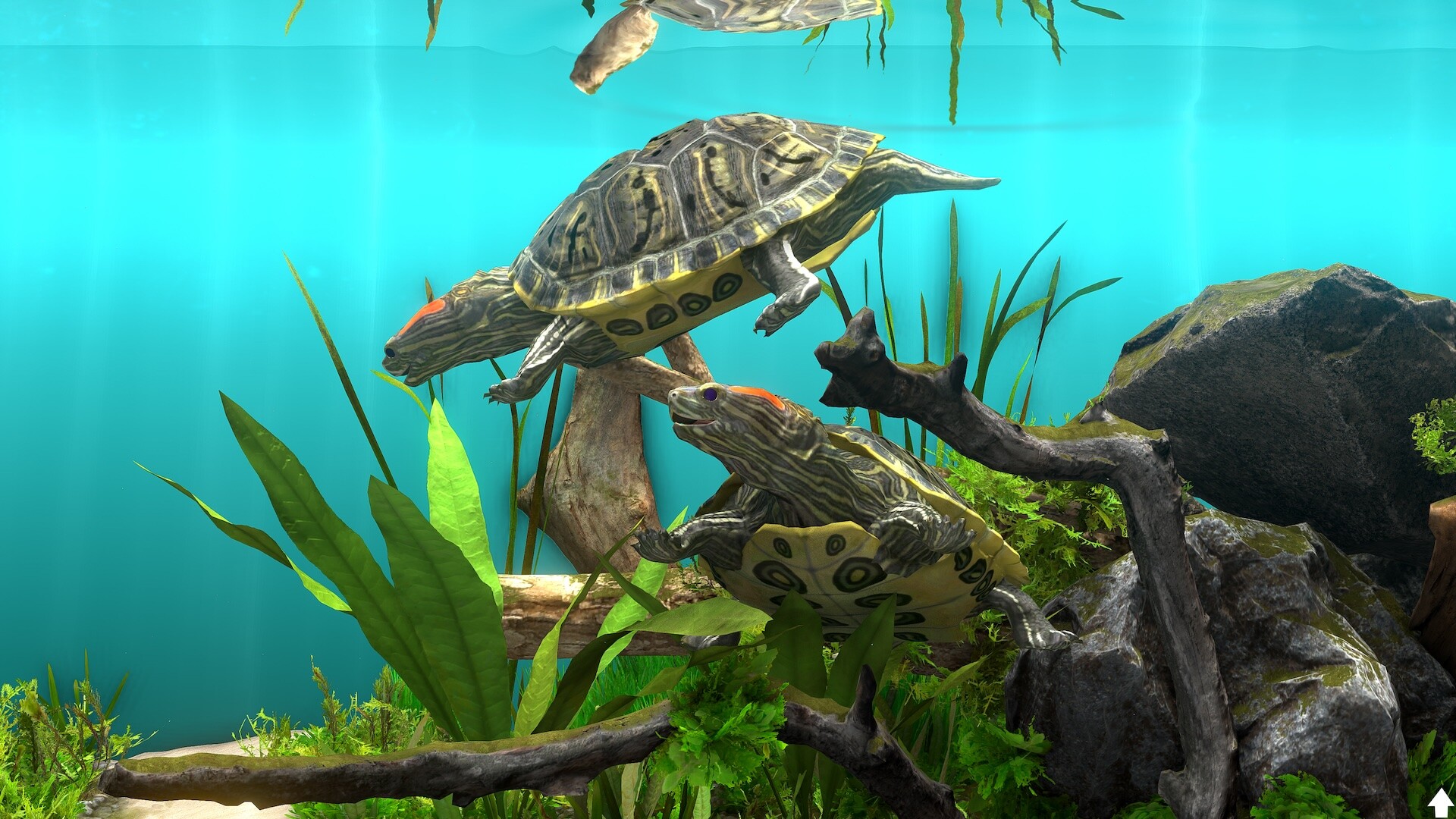 Скриншот 7: Behind Glass: Aquarium Simulator