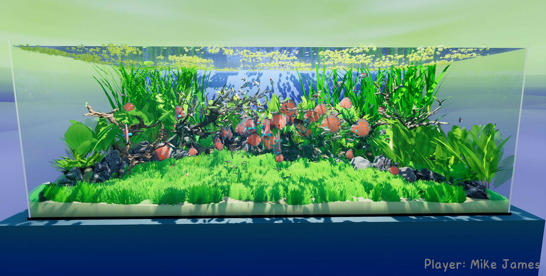 Скриншот: Fish Game