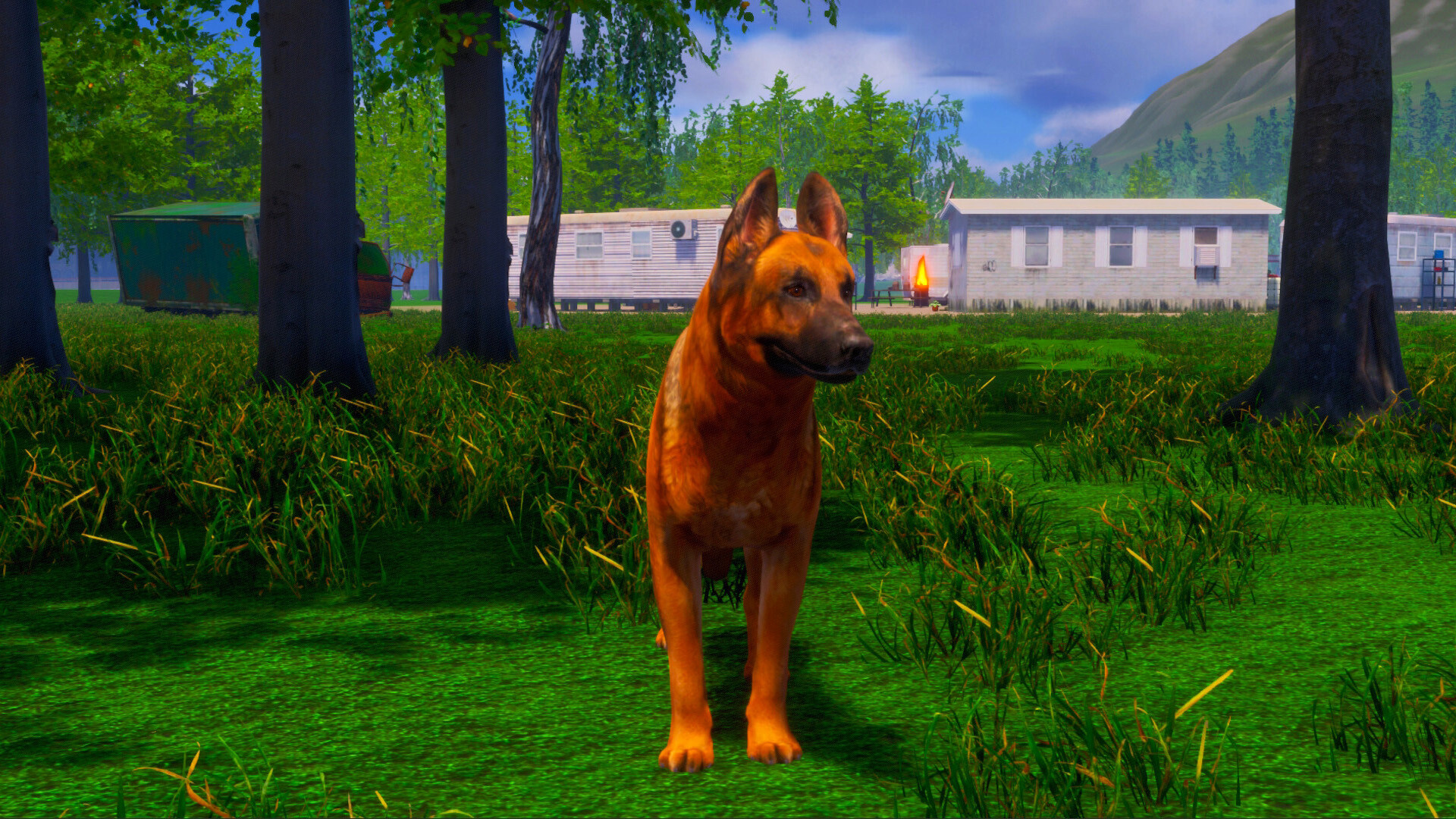 Скриншот: Lost Paws